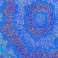 Aboriginal Artwork by Serianne Napangardi Butcher, Ypalu Tjukurrpa - Bush Banana Dreaming, 122x61cm