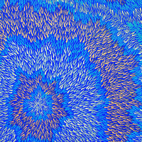 Aboriginal Artwork by Serianne Napangardi Butcher, Ypalu Tjukurrpa - Bush Banana Dreaming, 122x61cm