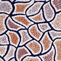 Aboriginal Artwork by Serianne Napangardi Butcher, Tali at Kungkayunti, 80x30cm