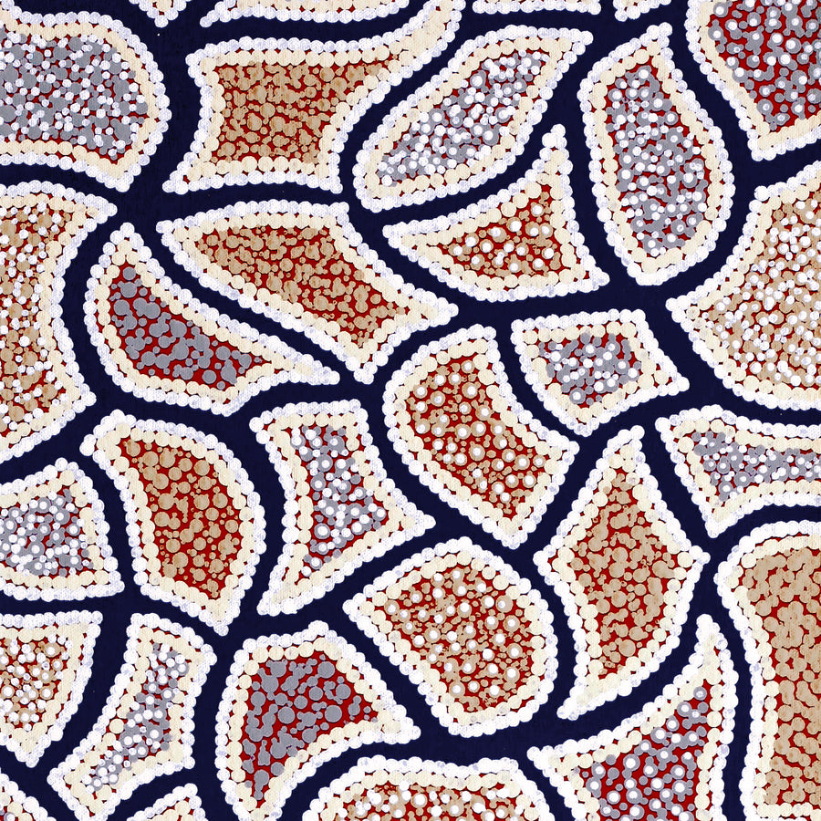 Aboriginal Artwork by Serianne Napangardi Butcher, Tali at Kungkayunti, 80x30cm