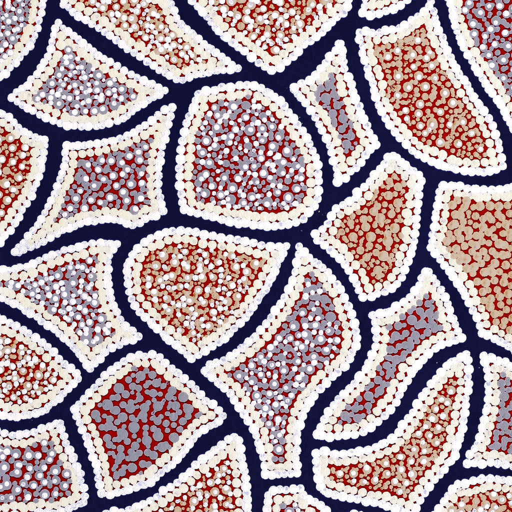 Aboriginal Artwork by Serianne Napangardi Butcher, Tali at Kungkayunti, 80x30cm