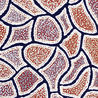 Aboriginal Artwork by Serianne Napangardi Butcher, Tali at Kungkayunti, 80x30cm