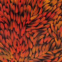 Aboriginal Artwork by Serena Napangardi McCormack, Ngapa Jukurrpa (Water Dreaming) - Puyurru, 61x46cm