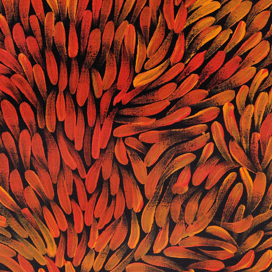 Aboriginal Artwork by Serena Napangardi McCormack, Ngapa Jukurrpa (Water Dreaming) - Puyurru, 61x46cm