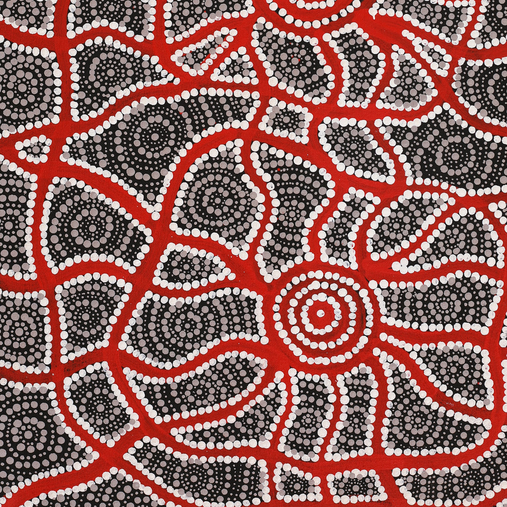 Aboriginal Artwork by Shakira Napaljarri Morris, Yarungkanyi Jukurrpa (Mt Doreen Dreaming), 76x46cm