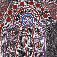 Aboriginal Artwork by Shakira Napaljarri Morris, Yarungkanyi Jukurrpa (Mt Doreen Dreaming), 76x46cm