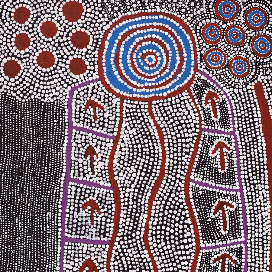 Aboriginal Artwork by Shakira Napaljarri Morris, Yarungkanyi Jukurrpa (Mt Doreen Dreaming), 76x46cm