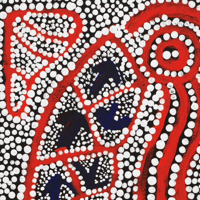 Aboriginal Artwork by Shakira Napaljarri Morris, Yankirri Jukurrpa (Emu Dreaming) - Ngarlikirlangu, 30x30cm