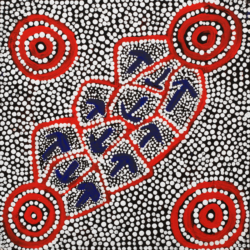 Aboriginal Artwork by Shakira Napaljarri Morris, Yankirri Jukurrpa (Emu Dreaming) - Ngarlikirlangu, 30x30cm