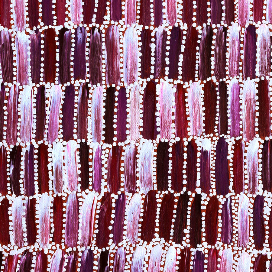 Aboriginal Artwork by Shakira Pitjara Patrick, Yarla Jukurrpa (Bush Potato Dreaming) - Cockatoo Creek, 61x46cm