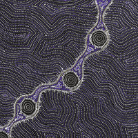 Aboriginal Artwork by Shanna Napanangka Williams, Star or Seven Sisters Dreaming, 107x61cm