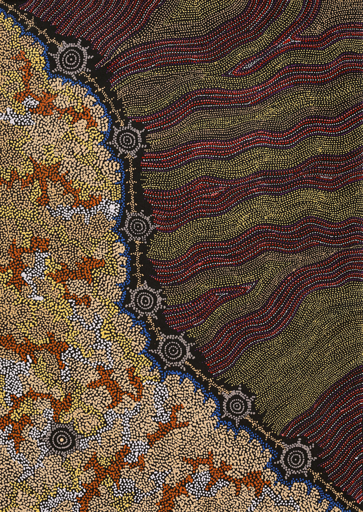 Aboriginal Artwork by Shanna Napanangka Williams, Seven Sisters Dreaming, 107x76cm
