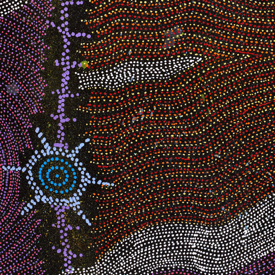 Aboriginal Artwork by Shanna Napanangka Williams, Seven Sisters Dreaming, 183x91cm