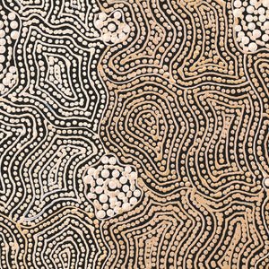 Aboriginal Artwork by Nathania Nangala Granites, Warlukurlangu Jukurrpa (Fire country Dreaming), 30x30cm - ART ARK®