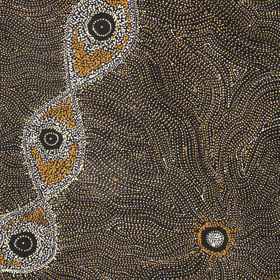 Aboriginal Artwork by Shanna Napanangka Williams, Yanjirlpirri or Napaljarri-Warnu Jukurrpa (Star or Seven Sisters Dreaming), 152x61cm