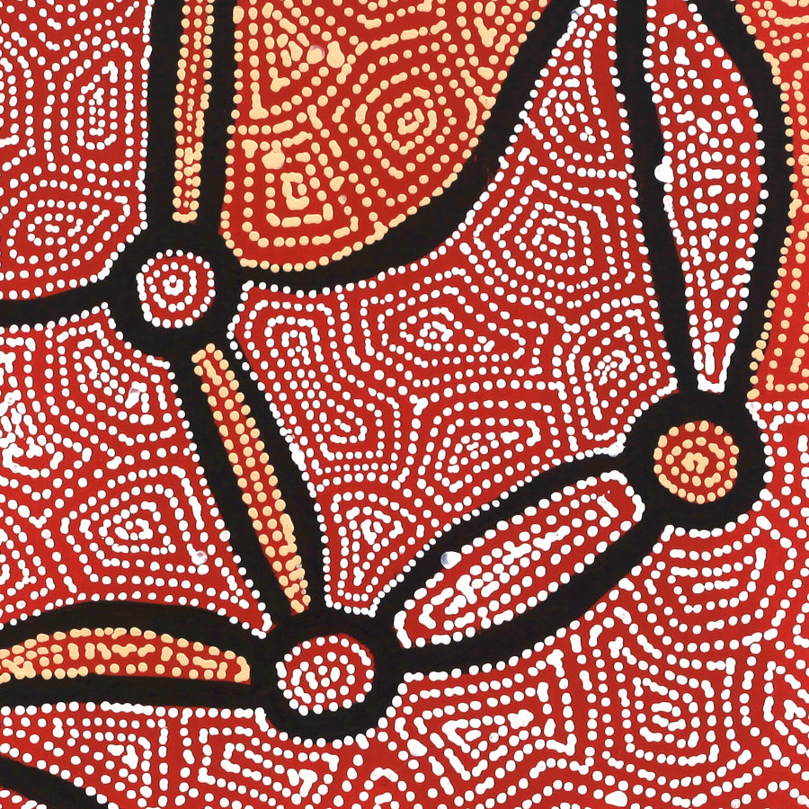 Aboriginal Artwork by Shanna Napanangka Williams, Ngapa Jukurrpa - Puyurru, 30x30cm