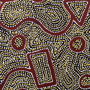 Aboriginal Art by Shanna Napanangka Williams, Ngapa Jukurrpa - Puyurru, 30x30cm - ART ARK®