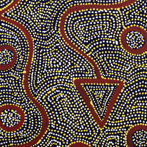 Aboriginal Artwork by Shanna Napanangka Williams, Ngapa Jukurrpa - Puyurru, 30x30cm - ART ARK®