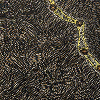 Aboriginal Artwork by Shanna Napanangka Williams, Star or Seven Sisters Dreaming, 91x76cm