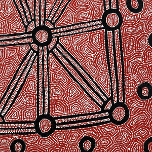 Aboriginal Artwork by Shanna Napanangka Williams, Ngapa Jukurrpa - Puyurru, 61x46cm - ART ARK®
