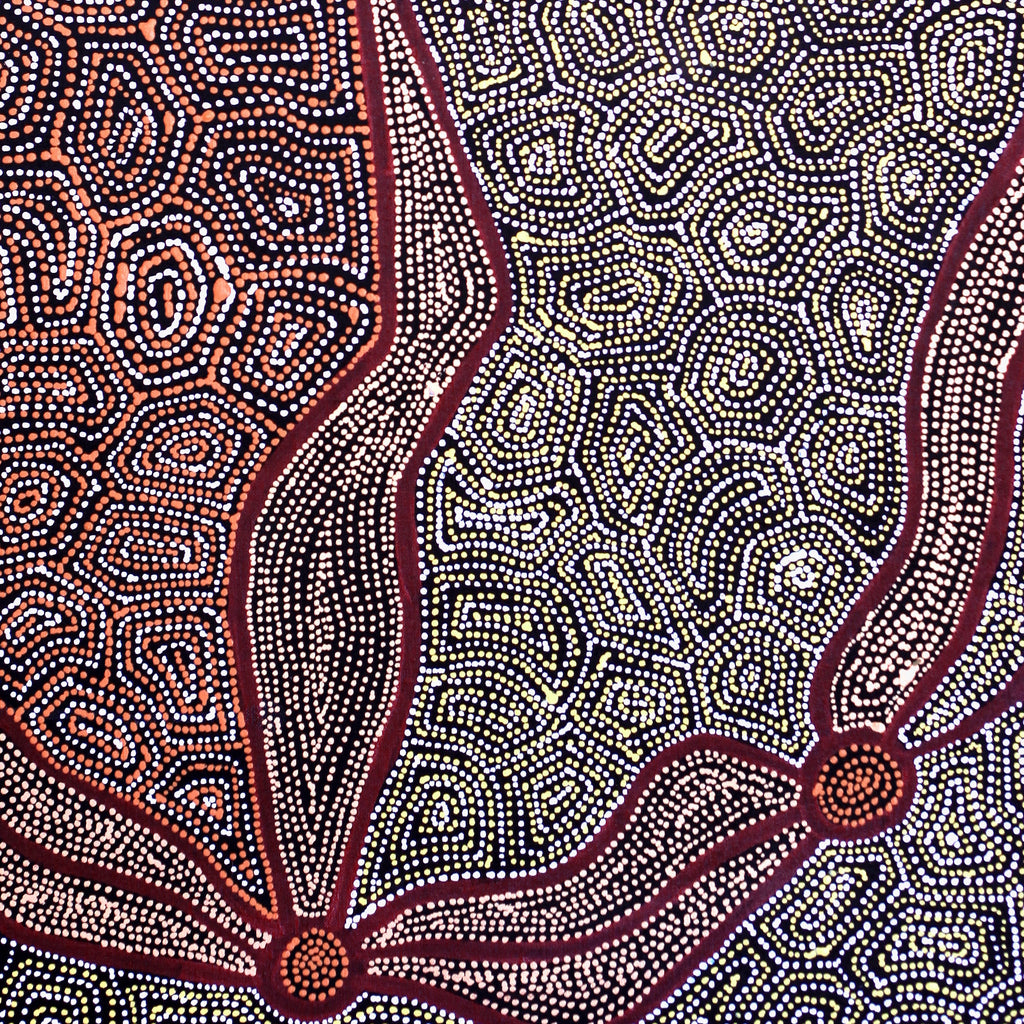 Aboriginal Art by Shanna Napanangka Williams, Ngapa Jukurrpa - Puyurru, 91x61cm - ART ARK®