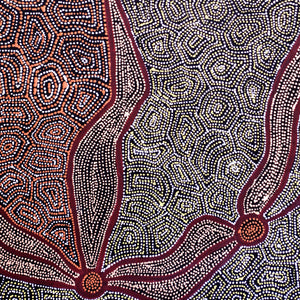 Aboriginal Art by Shanna Napanangka Williams, Ngapa Jukurrpa - Puyurru, 91x61cm - ART ARK®
