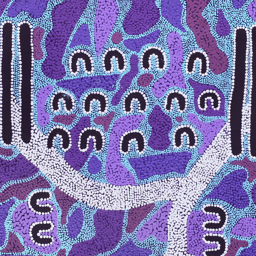 Aboriginal Artwork by Sharelle Napangardi Dixon, Karnta Jukurrpa (Womens Dreaming), 76x76cm