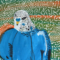 Aboriginal Artwork by Sharlene Nakamarra Nelson, Jurlpu kuja kalu nyinami Yurntumu-wana (Birds that live around Yuendumu), 30x30cm