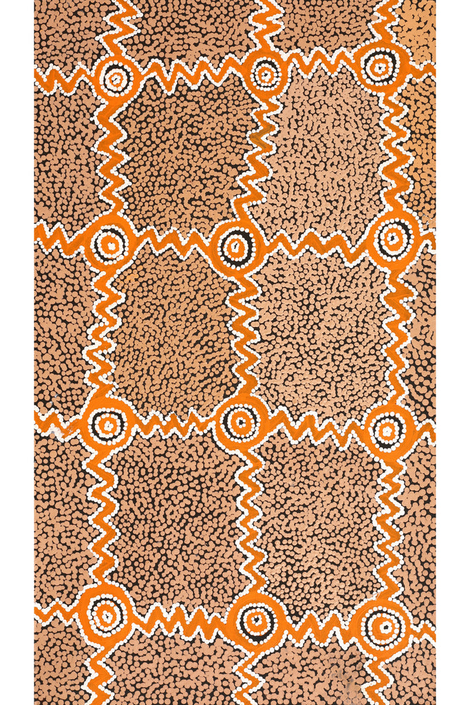 Aboriginal Art by Sharoline Nampijinpa Frank, Ngapa Jukurrpa (Water Dreaming) - Puyurru,107x61cm - ART ARK®