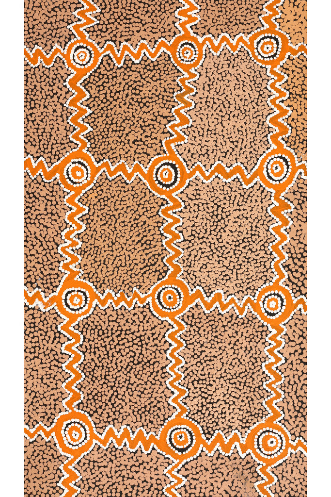 Aboriginal Artwork by Sharoline Nampijinpa Frank, Ngapa Jukurrpa (Water Dreaming) - Puyurru,107x61cm