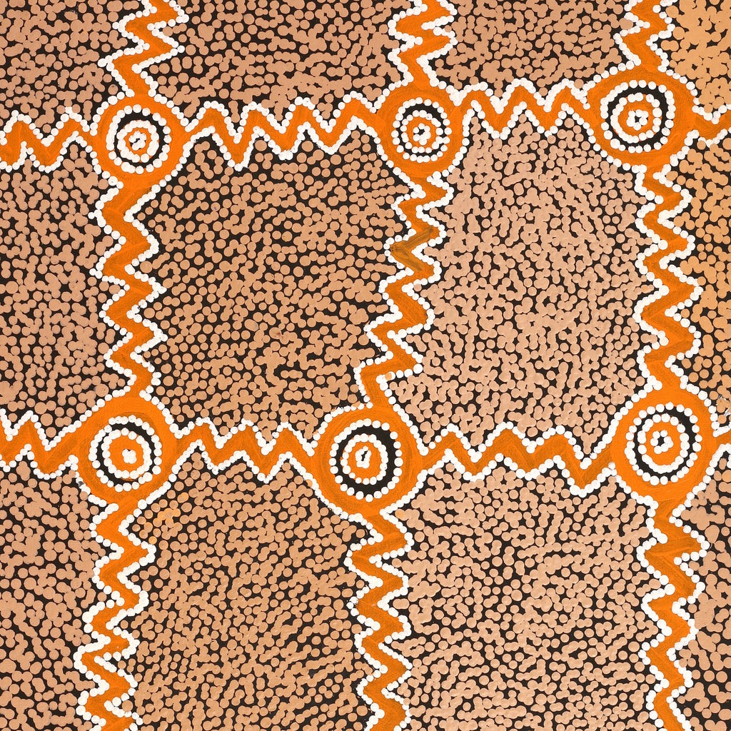 Aboriginal Artwork by Sharoline Nampijinpa Frank, Ngapa Jukurrpa (Water Dreaming) - Puyurru,107x61cm