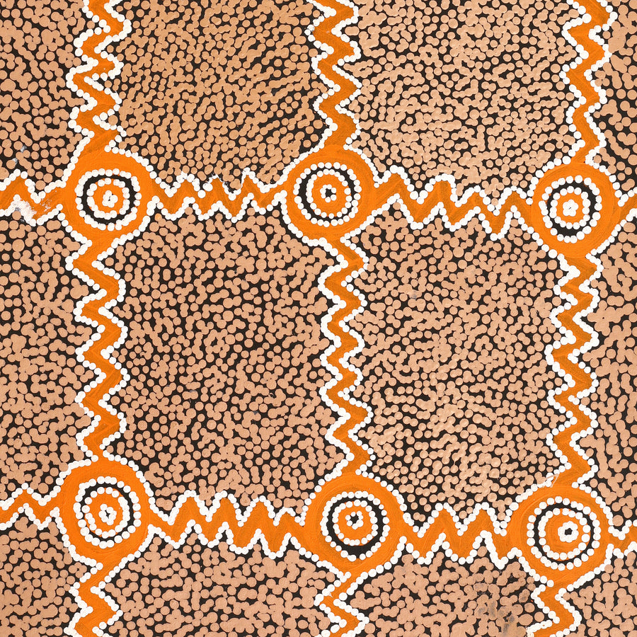 Aboriginal Artwork by Sharoline Nampijinpa Frank, Ngapa Jukurrpa (Water Dreaming) - Puyurru,107x61cm