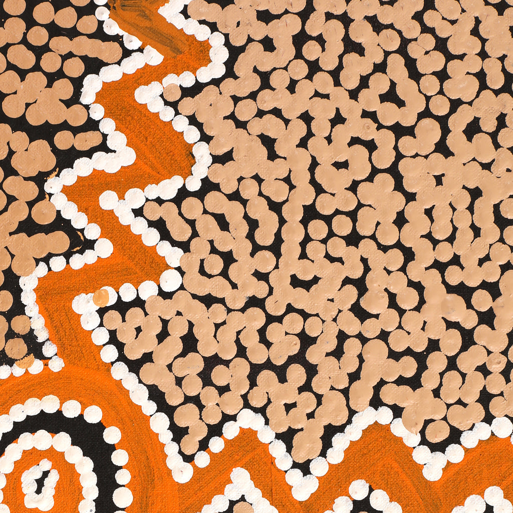 Aboriginal Artwork by Sharoline Nampijinpa Frank, Ngapa Jukurrpa (Water Dreaming) - Puyurru,107x61cm