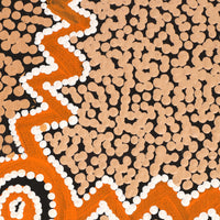 Aboriginal Artwork by Sharoline Nampijinpa Frank, Ngapa Jukurrpa (Water Dreaming) - Puyurru,107x61cm