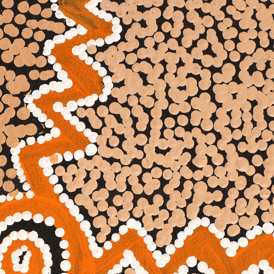 Aboriginal Artwork by Sharoline Nampijinpa Frank, Ngapa Jukurrpa (Water Dreaming) - Puyurru,107x61cm