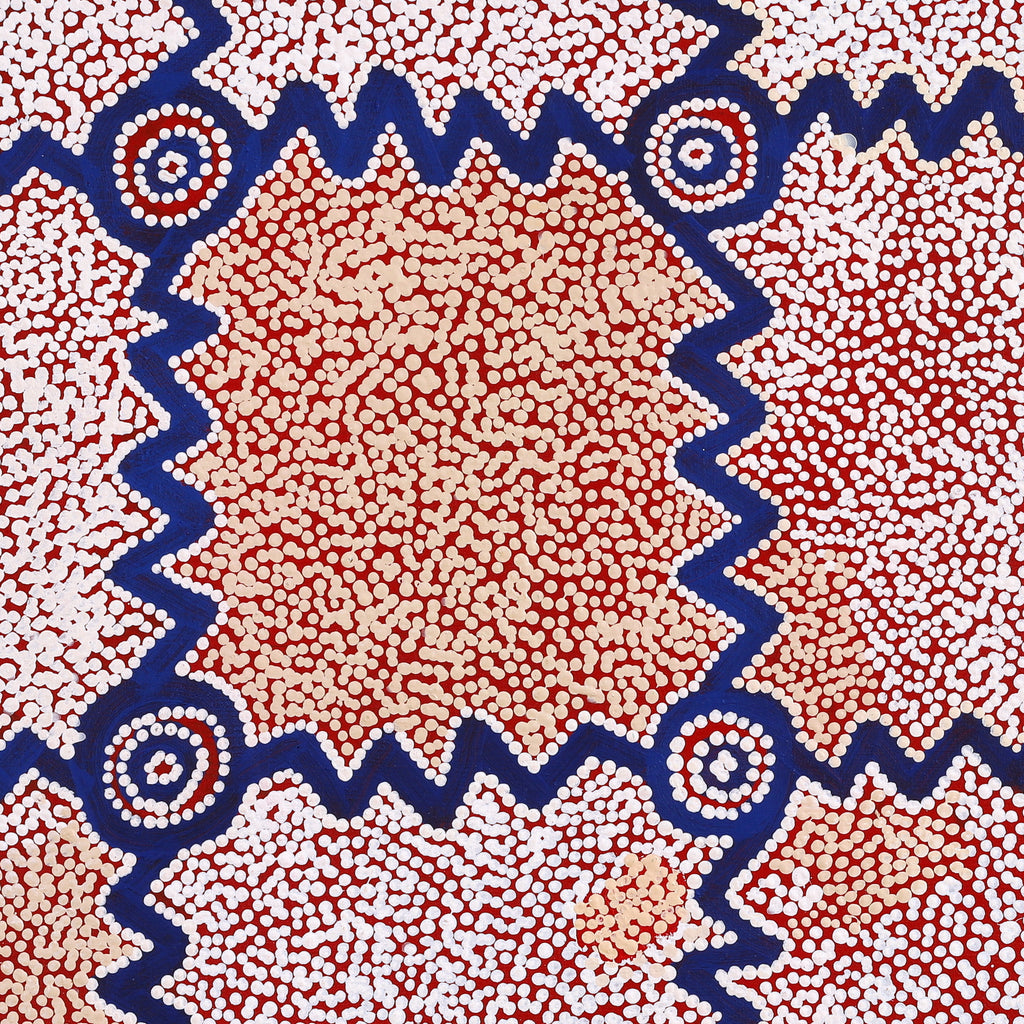 Aboriginal Art by Sharoline Nampijinpa Frank, Ngapa Jukurrpa (Water Dreaming) - Puyurru, 76x76cm - ART ARK®
