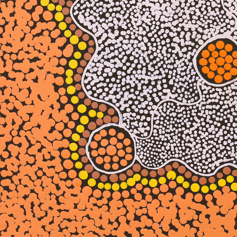 Aboriginal Artwork by Shemaiah Napanangka Granites, Mina Mina Jukurrpa, 30x30cm