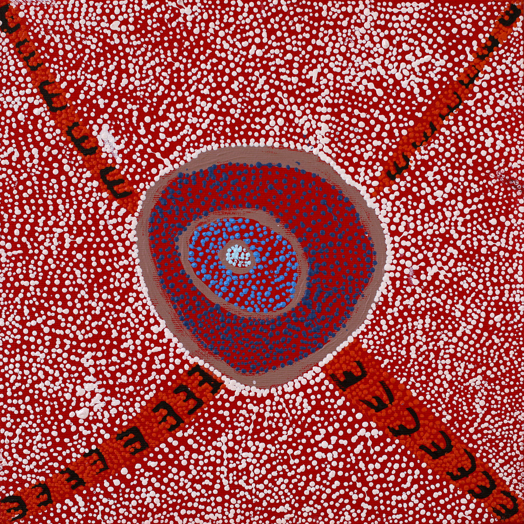 Sheree Napurrurla Wayne - Aboriginal Art | 30x30cm | 2563 - ART ARK®