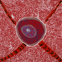 Aboriginal Art by Sheree Napurrurla Wayne, Lukarrara Jukurrpa (Desert Fringe-rush Seed Dreaming), 30x30cm - ART ARK®