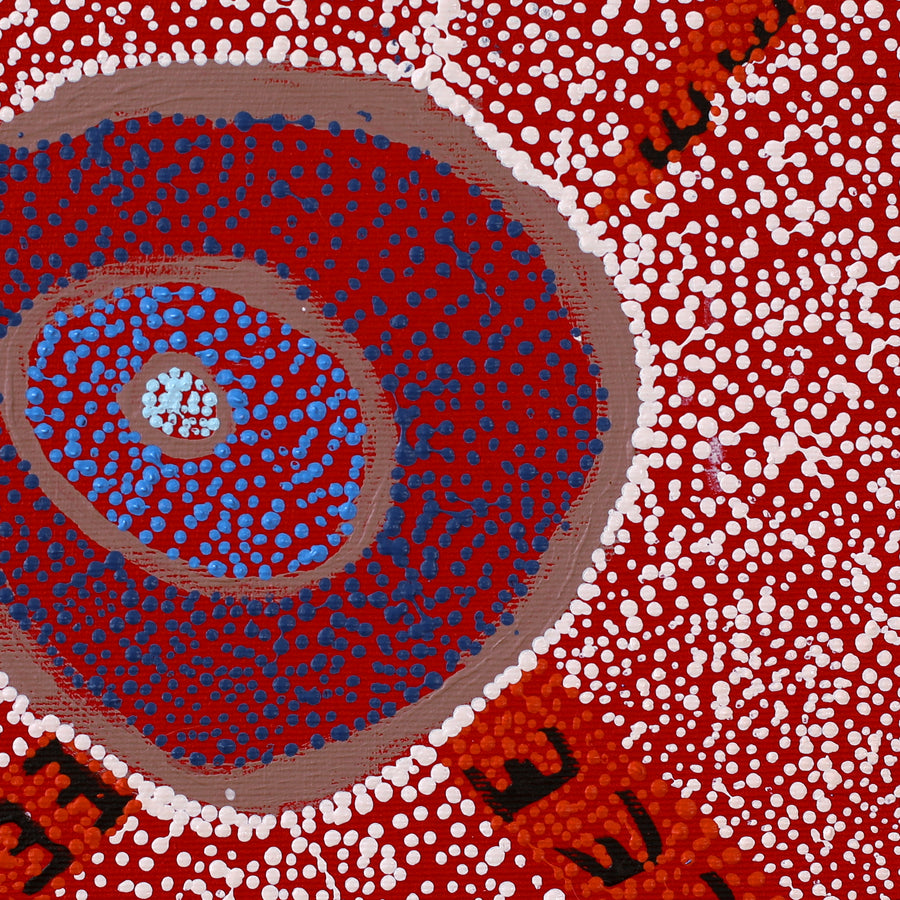 Aboriginal Artwork by Sheree Napurrurla Wayne, Lukarrara Jukurrpa (Desert Fringe-rush Seed Dreaming), 30x30cm