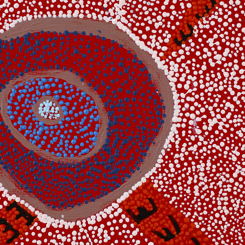 Aboriginal Artwork by Sheree Napurrurla Wayne, Lukarrara Jukurrpa (Desert Fringe-rush Seed Dreaming), 30x30cm