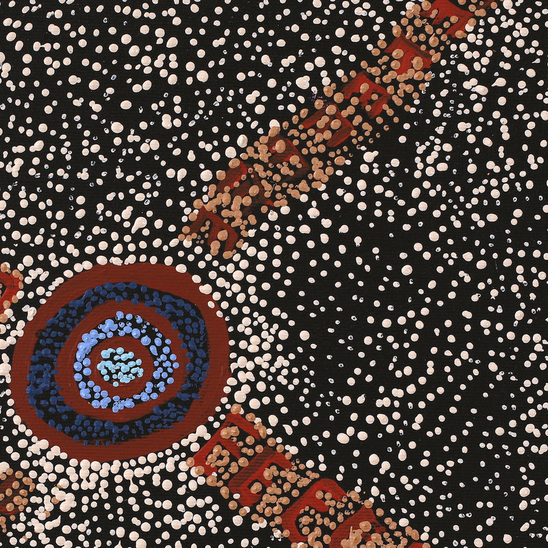 Aboriginal Artwork by Sheree Napurrurla Wayne, Lukarrara Jukurrpa (Desert Fringe-rush Seed Dreaming), 30x30cm