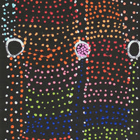 Aboriginal Artwork by Sheree Napurrurla Wayne, Lukarrara Jukurrpa (Desert Fringe-rush Seed Dreaming), 107x30cm