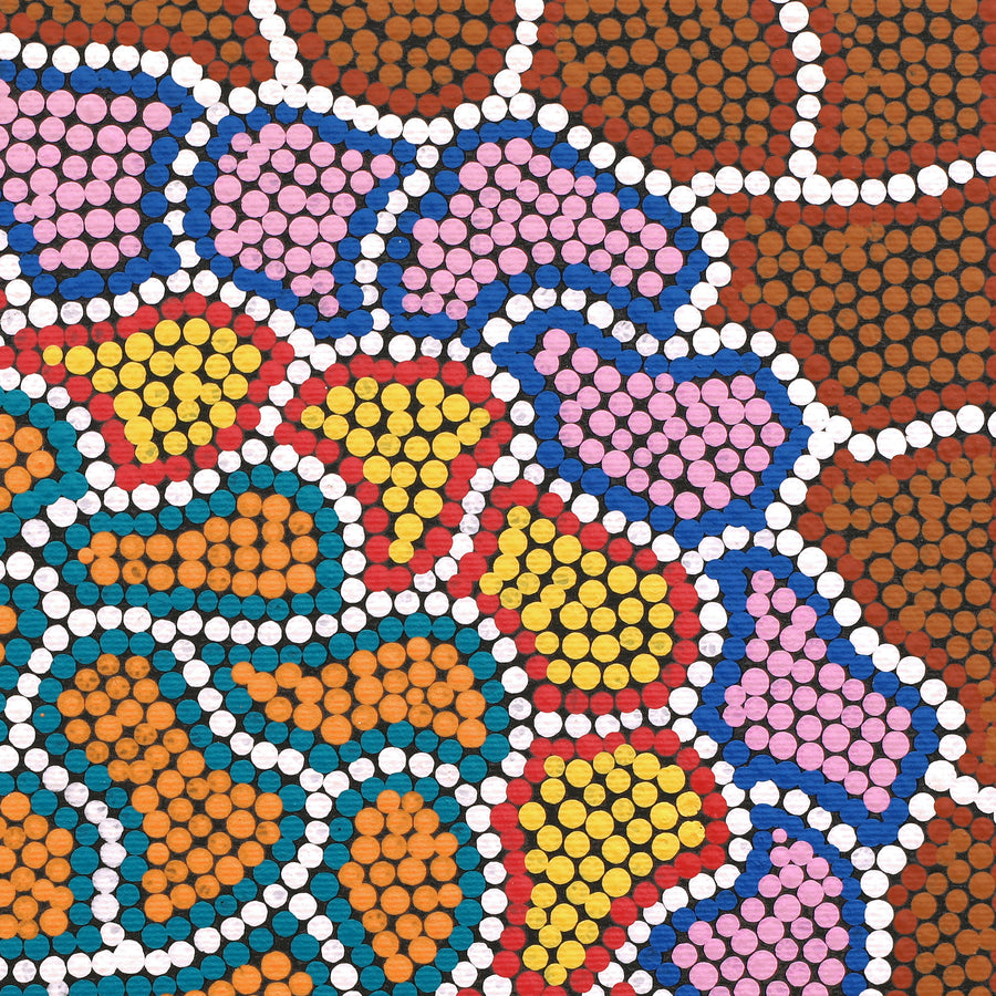 Aboriginal Artwork by Sherise Nangala Abbott, Watiya-warnu Jukurrpa (Seed Dreaming), 30x30cm