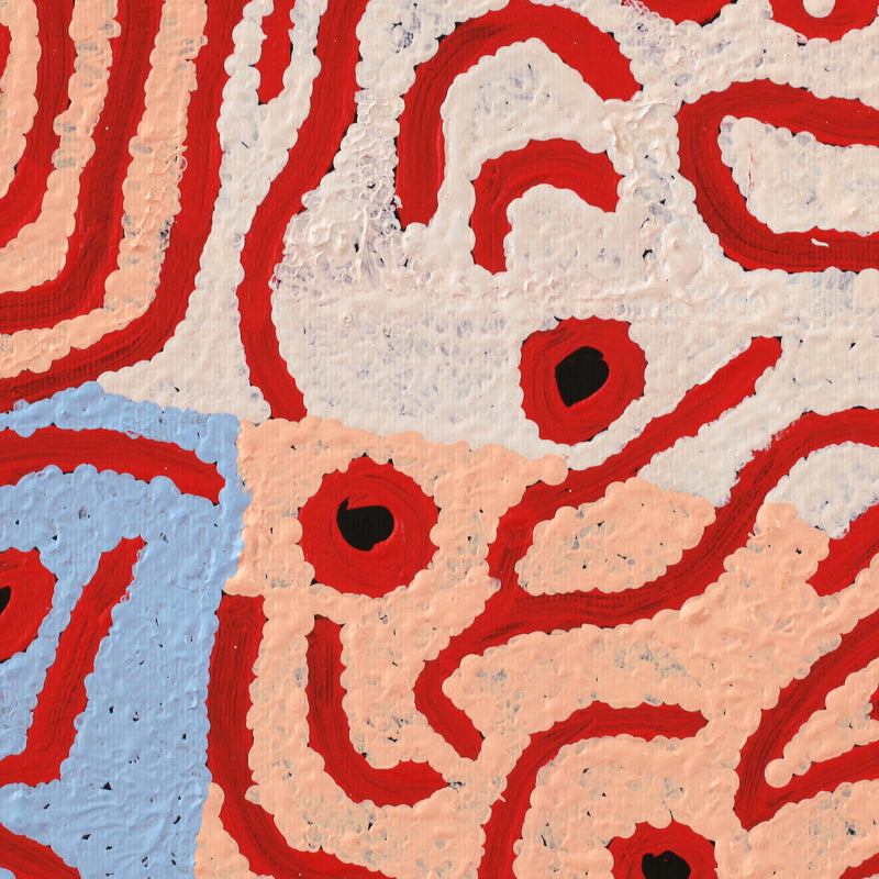 Aboriginal Artwork by Shaimaya Nampijinpa Brown, Luurnpa Jukurrpa (Kingfisher Dreaming) - Lake MacKay, 30x30cm