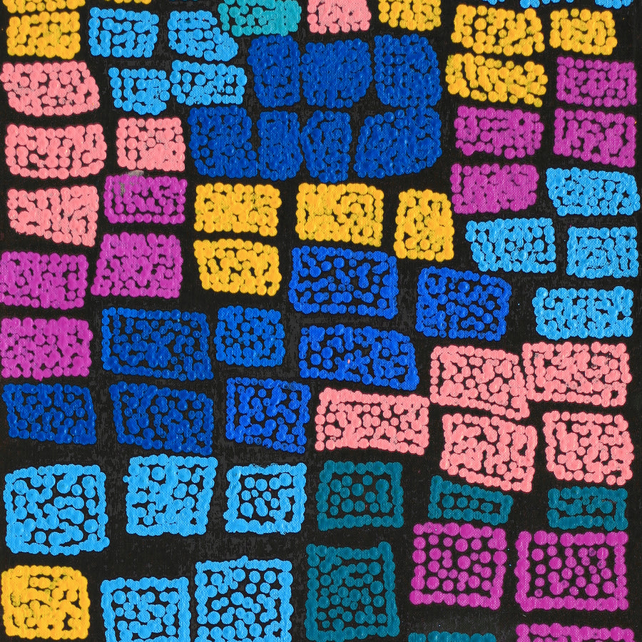 Aboriginal Artwork by Shimayla Nampijinpa Turner, Pamapardu Jukurrpa (Flying Ant Dreaming) - Warntungurru, 76x30cm