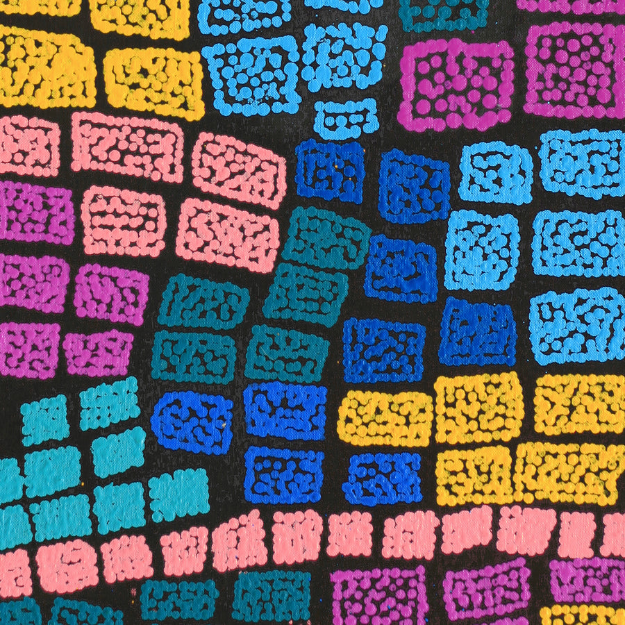 Aboriginal Artwork by Shimayla Nampijinpa Turner, Pamapardu Jukurrpa (Flying Ant Dreaming) - Warntungurru, 76x30cm