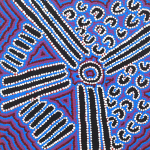 Aboriginal Artwork by Shirley Napanangka Martin, Puturlu Jukurrpa (Mt Theo Dreaming), 30x30cm - ART ARK®