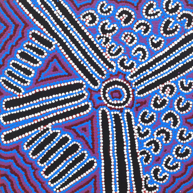 Aboriginal Artwork by Shirley Napanangka Martin, Puturlu Jukurrpa (Mt Theo Dreaming), 30x30cm