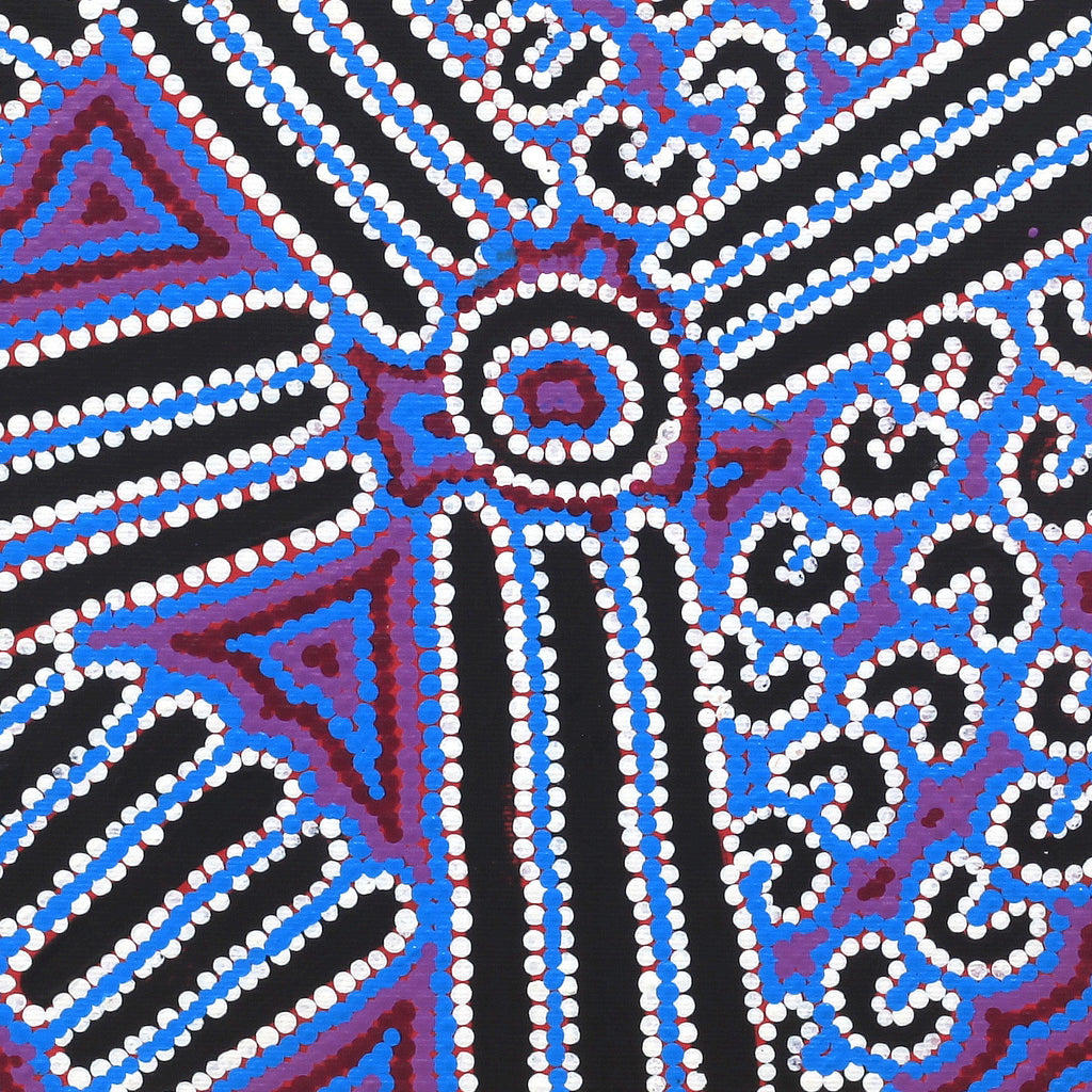 Aboriginal Artwork by Shirley Napanangka Martin, Puturlu Jukurrpa (Mt Theo Dreaming), 30x30cm